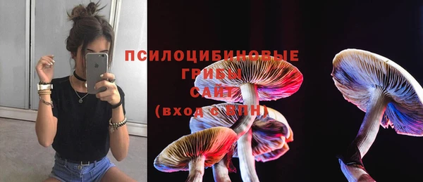 шишки Нея