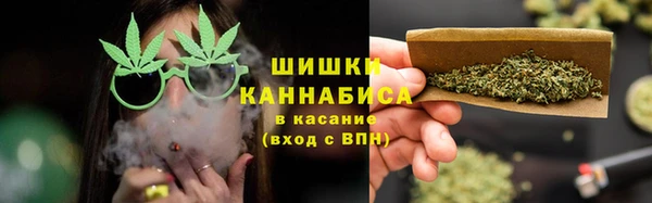 шишки Нея