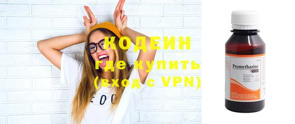 шишки Нея