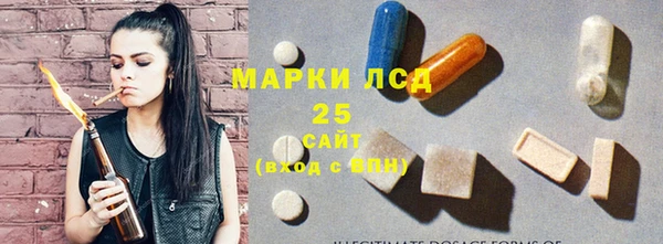 шишки Нея