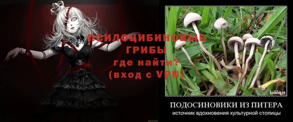 соль ск Нефтекумск