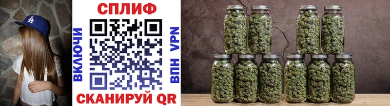 площадка как зайти Черноголовка Бошки марихуана THC 21%